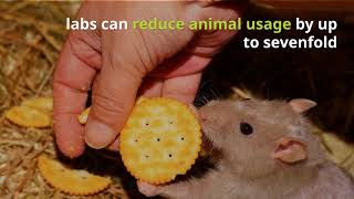 Three R Compliant Animal Testing | Use Fewer Animals | Preclinical Research and Drug Development