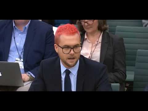 Wylie testimony - AIQ ad effectiveness