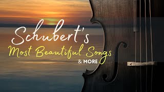 Schubert's Most Beautiful Pieces & More | Cello and Piano