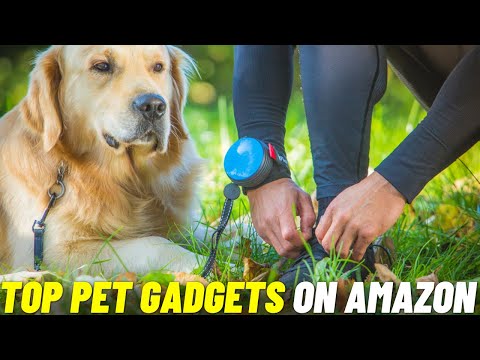 Top Pet Gadgets On Amazon | Amazon Must Haves