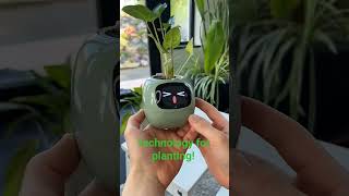 Technology used in planting. #planting #plants #techinnovation #agriculture #flowerplanting #trend