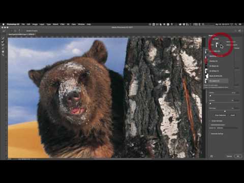 Refining Selections and Masks in Photoshop for Compositing V2