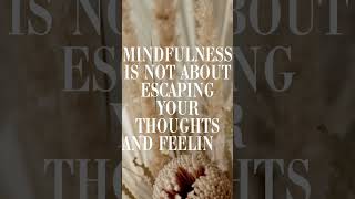 Do you believe this comment?👇 #mindfulness #mindset #mindsetiseverything #mindsetmastery