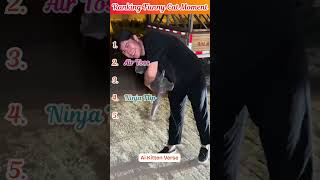 Ranking Funny Cat Moment 🤣 43 #cat #trending #shortscat