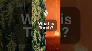 Meet Torch: the smart sensor for wildfires 🔥