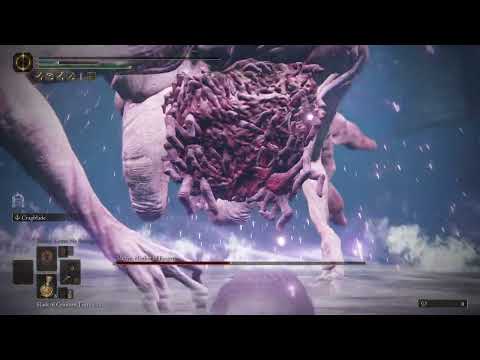 Metyr Mother of Fingers (No blessings) 23 Deaths