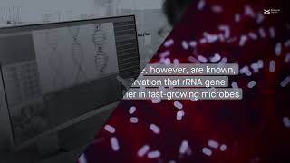 Correcting bias in microbiome analyses