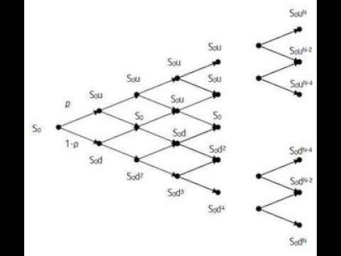 Valuing an American Option Using Binomial Tree-Derivative Pricing in Excel