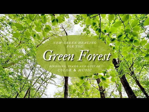新緑とリラックスBGM、鳥の声とピアノとギターの音楽Green Forest【癒しの色と音楽】