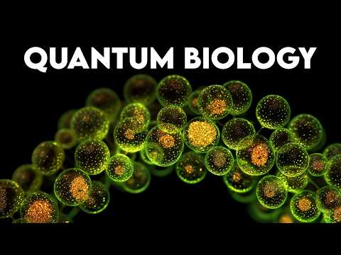 Life Figured Out Quantum Physics 3 Billion Years Before We Did