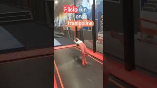 Flicks on a trampoline #flick #flicks #training #gymnasticslife #trampoline