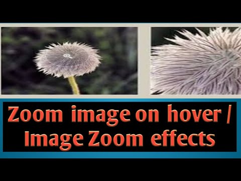 Zoom image on Hover | CSS image effects | Image zoom Effects | CSS-AsonWebs