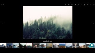 How to Create HTML CSS lightGallery JS Plugin | HTML CSS lightGallery @raselcoder