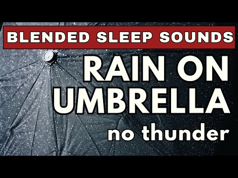 Rainy Serenade: Soft and Gentle Raindrops Dancing on an Umbrella  | 10-Hour Black Screen
