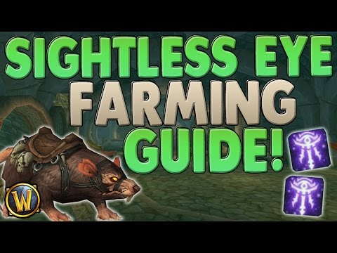 World of Warcraft: FASTEST Sightless Eye Farm! | How-to Get Ratstallion Mount FAST | Best Guide!