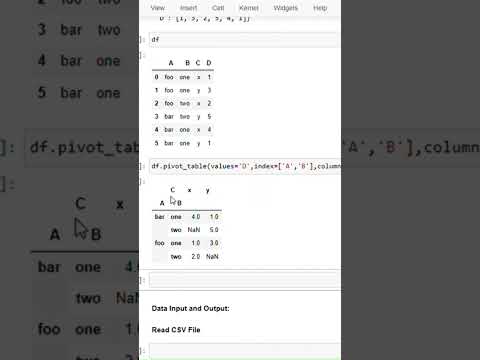 How to use Pivot Table in a Python Dataframe | Feb 2025