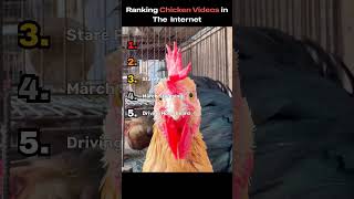 Top 5 Funniest Chickens on the Internet #chicken #funny
