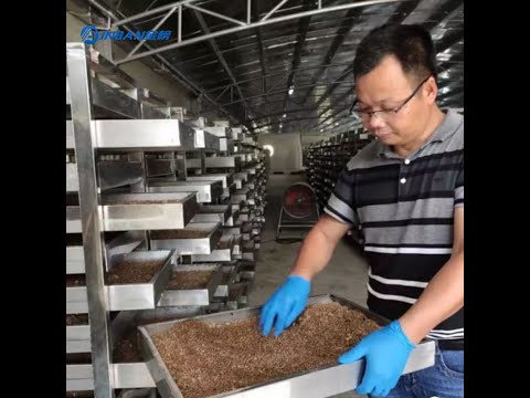 Black Soldier Fly household food kitchen waste disposal equipment solution