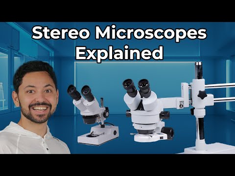 What is a Stereomicroscope? Explained.