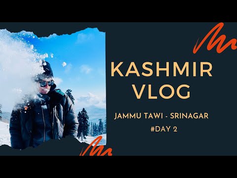 Srinagar 1 am experience 🤓 | #day2 | Kashmir