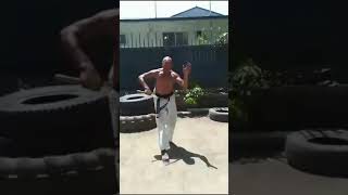BLACK PYTHON VIDEO