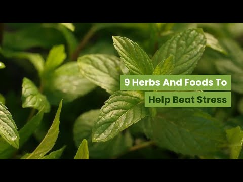 9 Herbs And Foods To Help Reduce (Beat) Stress