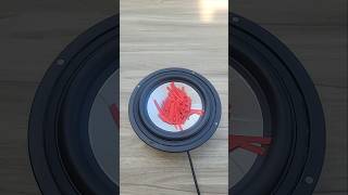 Speaker Beat Check #heavybass #jbl #jblbass #shorts #viral