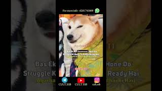 Akbaar recommended ho jane doo...