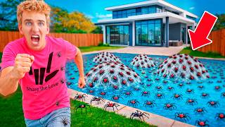 My Pool is INFESTED with Deady Spiders!