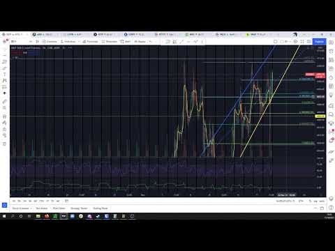 Nov 18, 2021 Market Update
