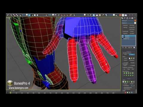 BonesPro Fine-tuning skinning techniques