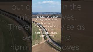 Be wise as serpents and harmless as doves. 🙏🕊 #trustthelord #bewise #lovegod #scripture