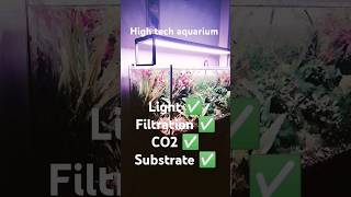 High tech aquarium #hightech #aquarium #latesttech #latesttechnology #fish #fishtanklife #plants