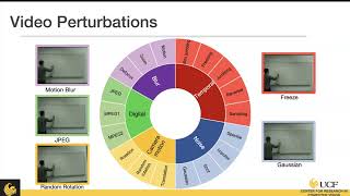 Madeline Chantry Schiappa - A Study On Robustness And Semantic Understanding Of Visual Models