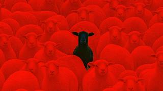 Who is your Enemy ? 