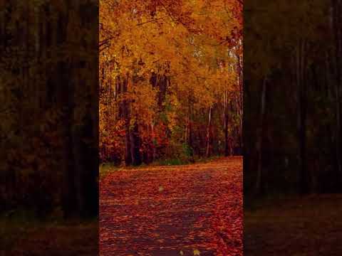 Som para dormir rapidamente, música para sono profundo