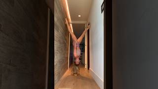 No hands! 🙌🏼 #handstand #handstandchallenge #gymnast #shorts