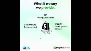Shopify Customizations and App Experts