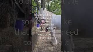 !! #shorts #dayinthelife #video #horse #equestrian