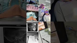 Top 5 majors ranked!... #collegetips #collegemajor #synq #gsvnk