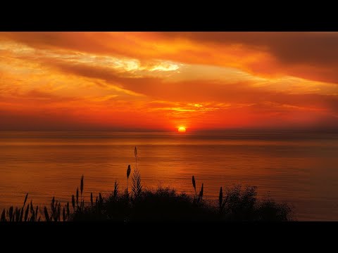 Peaceful Ambient Music | Nature | Sunset Atmosphere