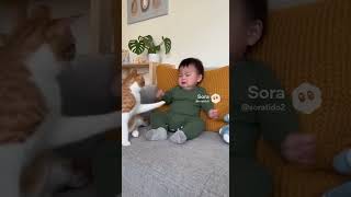 I don't want to play with the cat! 😫 #rap #beats #viral #short #funnyvideo #aishorts