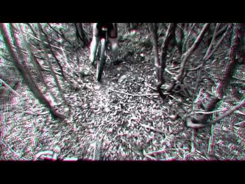 Oggi un bel branco de gentaccia  (Created with @Magisto)