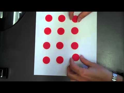 3rd Grade Area of a Rectangle