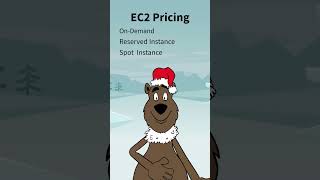 Stop Wasting Money on AWS EC2! 💰 Best Pricing Strategy Explained