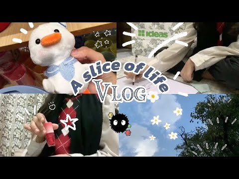 Weekend vlog : coffee, ootd 🎀 busy day 🐢 etc. \\ Amana Mall \\ Lahore vlog.