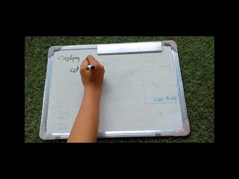 Exploring Trigonometric Formulas: Derivation and Real-World Applications (PYTHAGOREAN IDENTITIES)😌🫰