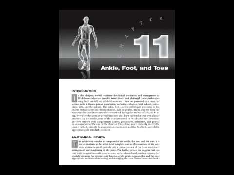 Athletic & Orthopedic Injury Assessment: A Case Study Approach