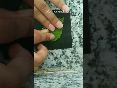 Very easy water colour painting #viral #subscribe #like #shortsviral