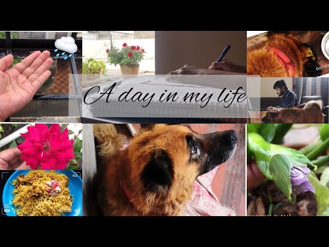 Study vlog | day 46 | a day in the life of UPSC aspirant | Rocky 🐶❤️ | biryani 🍗😋🌧 | economy📖📚